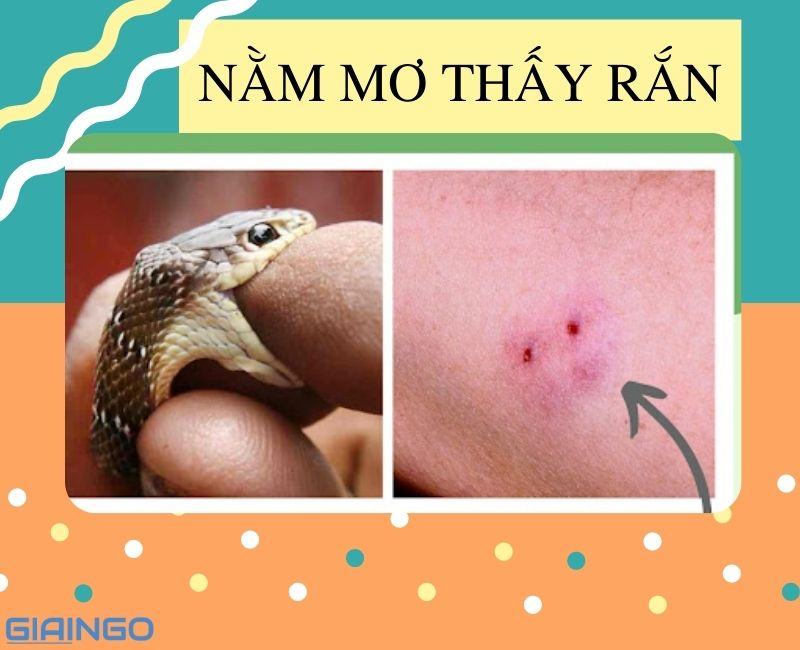 Nằm mơ thấy rắn điềm gì? Giải mã hiện tượng chi tiết nhất