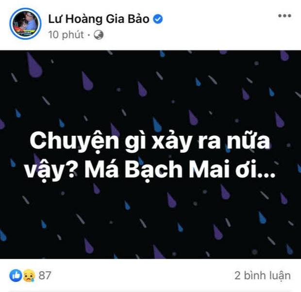 Nghệ sĩ Bạch Mai là ai?