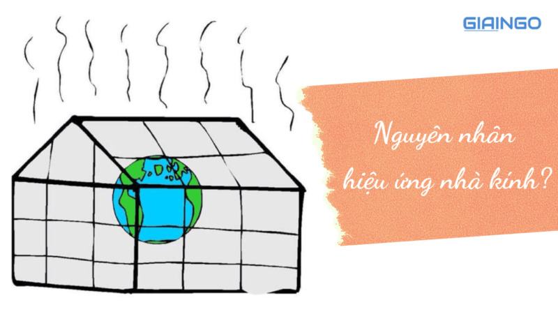 Nguyên nhân hiệu ứng nhà kính?