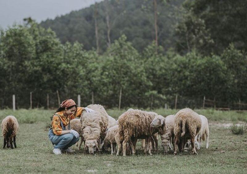 nhung dia diem noi tieng tai Nghe An