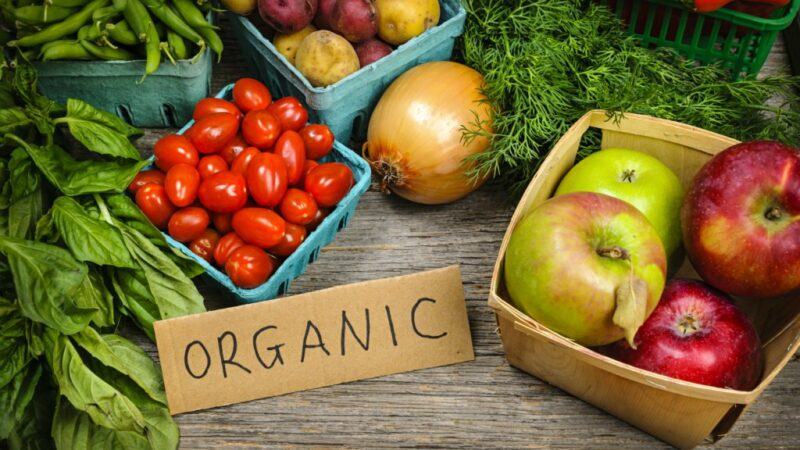 organic là gì