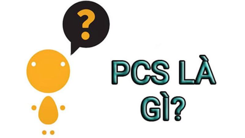 PCS là gì? Khái niệm về PCS trong lĩnh vực xuất nhập khẩu và lĩnh vực khác