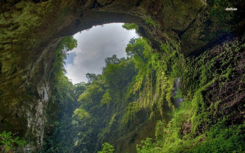 phong nha kẻ bàng ở đâu