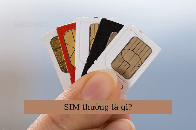 eSIM là gì? Ở Việt Nam có sử dụng được chức năng eSIM?