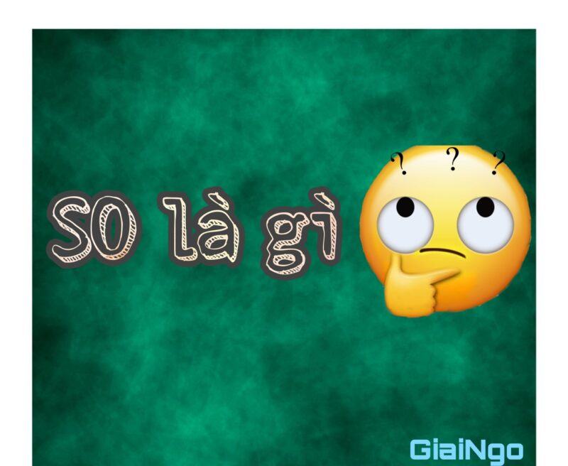 S/O là gì? Những từ viết tắt S/O thông dụng trong cuộc sống