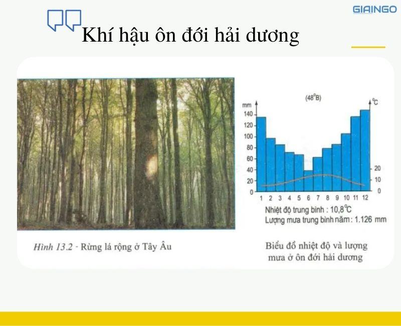 So sánh sự khác nhau giữa khí hậu ôn đới hải dương và khí hậu ôn đới lục địa