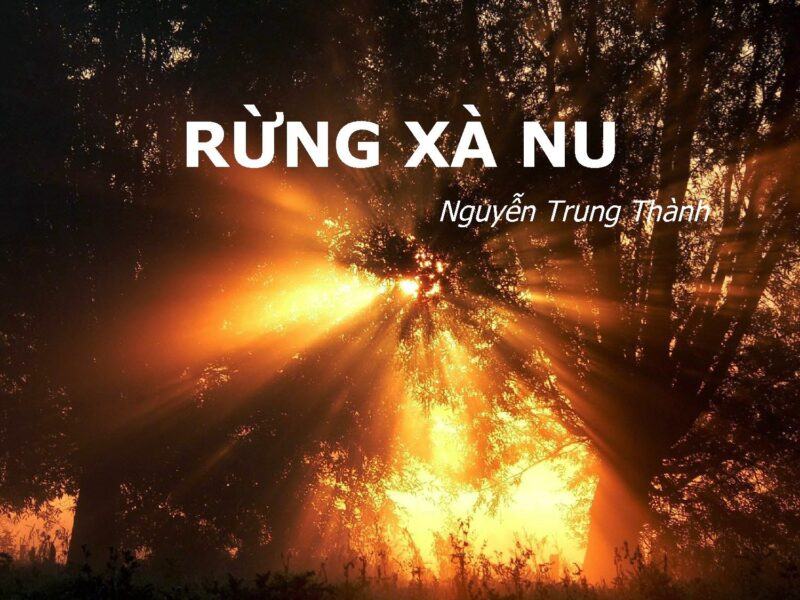 Soạn bài Rừng xà nu