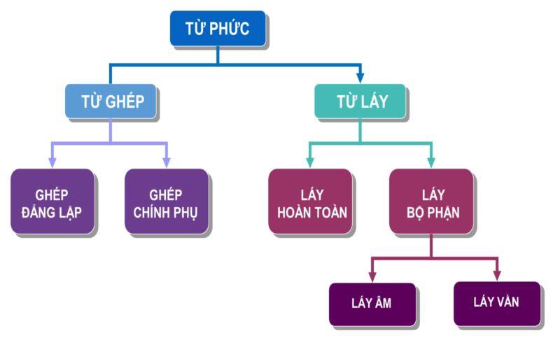 Nội dung soạn bài Từ ghép ngắn gọn, bài tập từ ghép 7