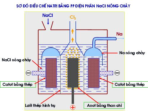 Sodium là gì? Những thông tin bạn nên biết về Sodium