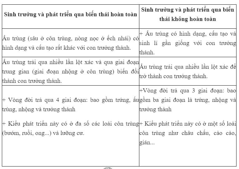 Sự khác nhau giữa phát triển qua biến thái và không qua biến thái