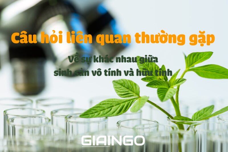 Sự khác nhau giữa sinh sản vô tính và hữu tính