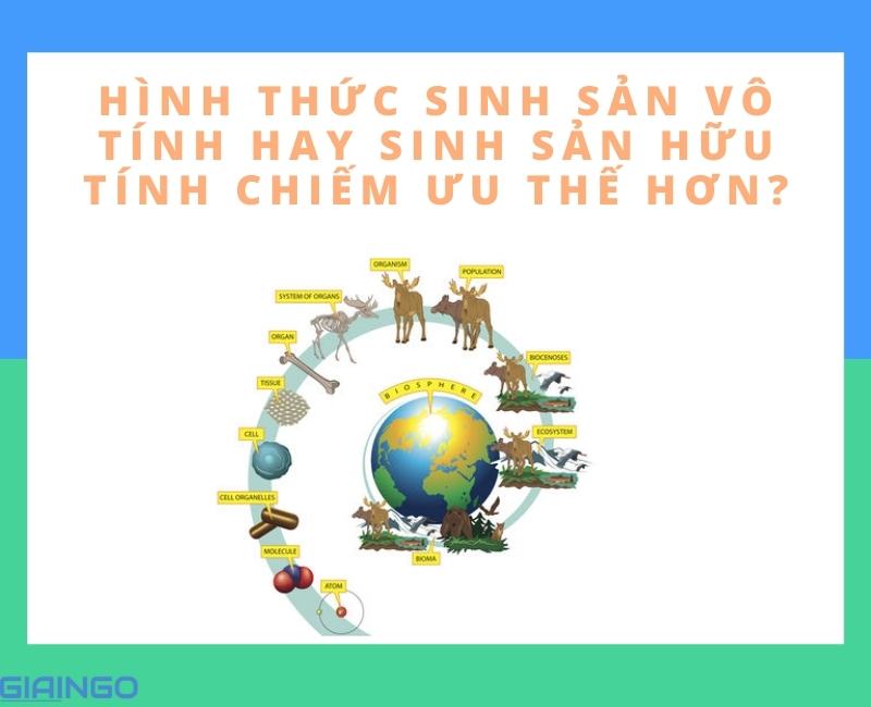 su khac nhau giua sinh san vo tinh va sinh san huu tinh