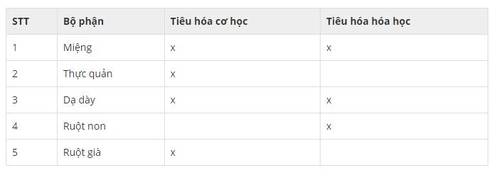 Sự khác nhau giữa tiêu hóa nội bào và ngoại bào