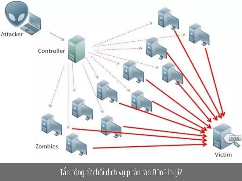 Tác hại của DoS là gì? 4 cách ngăn chặn tác hại của DoS