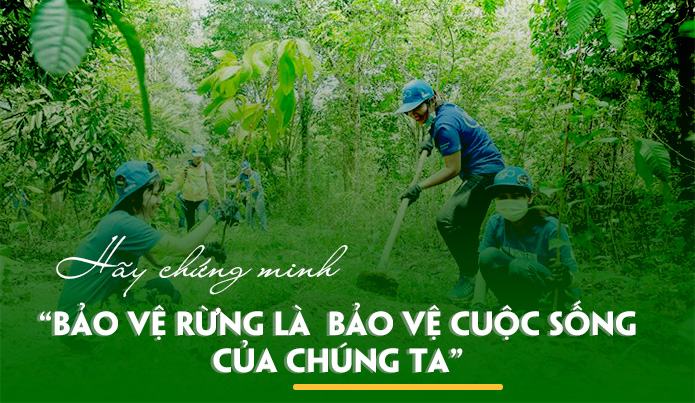 Tại sao phải bảo vệ rừng