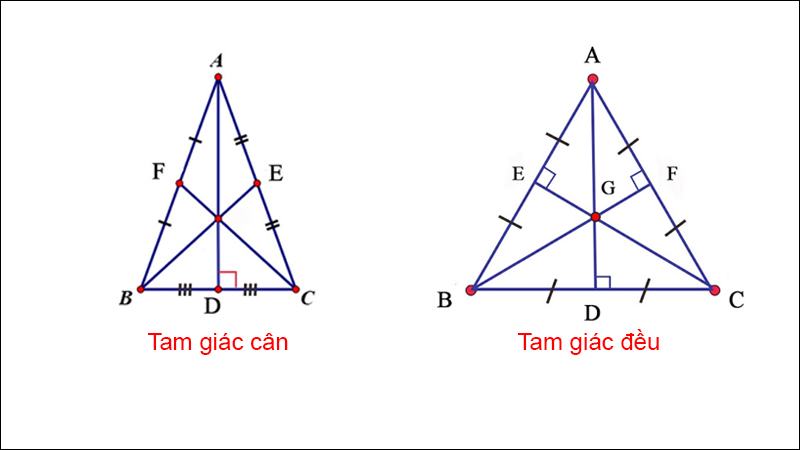 tính chất đường trung tuyến