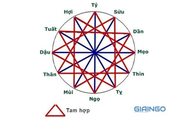 Tam hợp tuổi Tuất là gì? Tính cách đặc trưng nhóm tam hợp Tuất – Dần – Ngọ