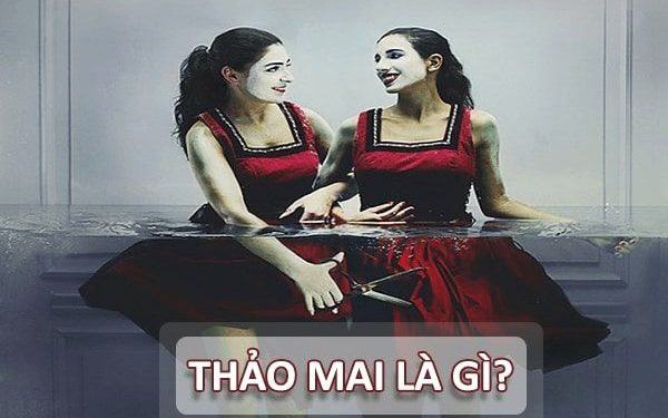 Thảo mai là gì? Cách châm biếm đầy thâm thúy ở thời đại 4.0