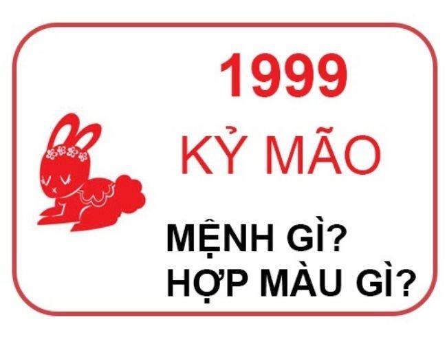 tuoi ky mao hop mau gi