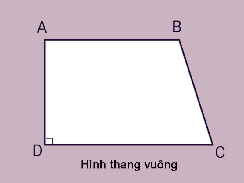 Tính chất hình thang