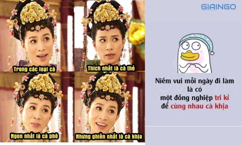 Meme cà khịa