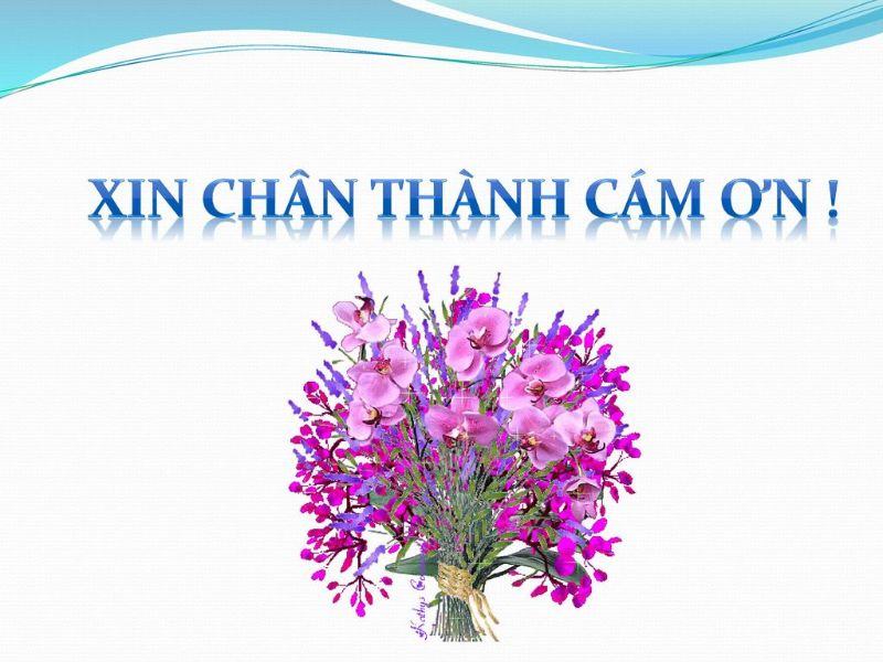 Trân thành hay chân thành