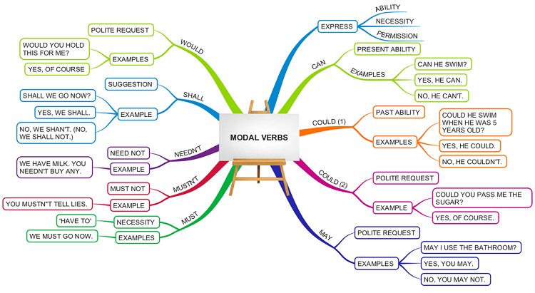 Modal Verb là gì