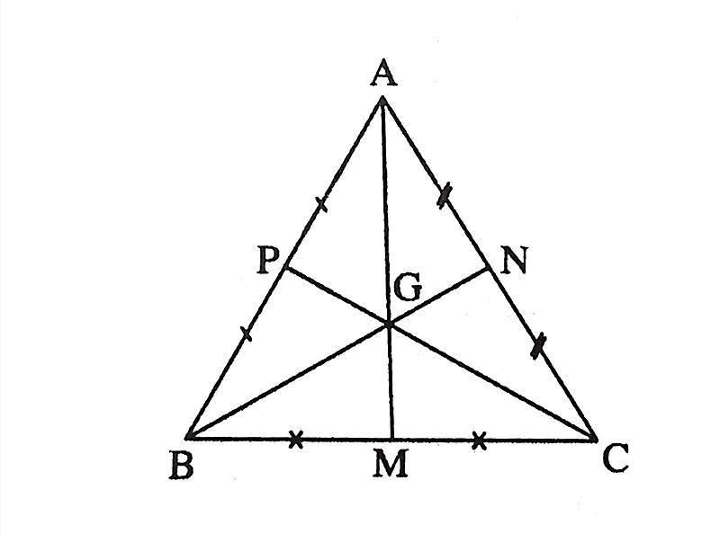 Tính chất trọng tâm tam giác?