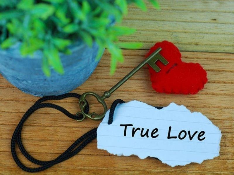 True love là gì? Quan điểm True love trong showbiz Việt