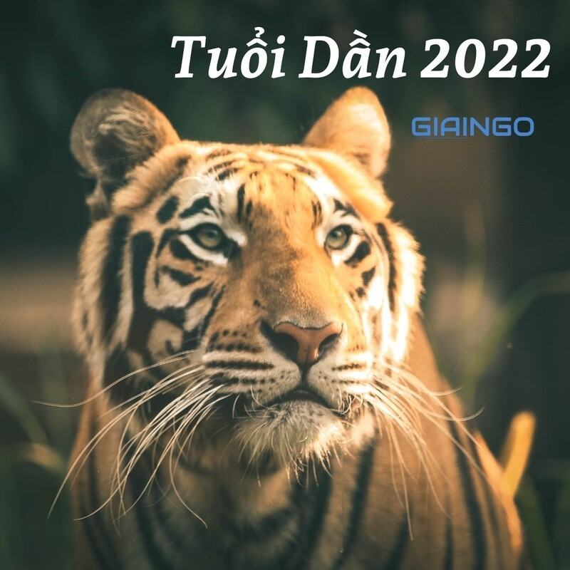 Tử vi tuổi Dần năm 2022 như thế nào? Cần lưu ý điều gì?