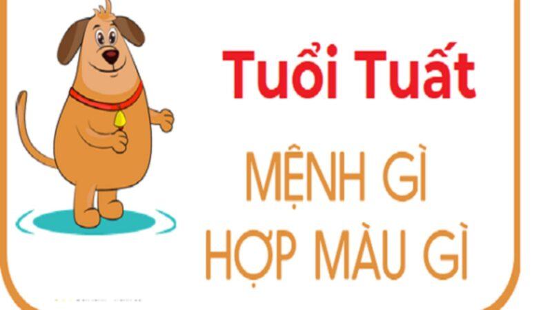 Tuổi Tuất hợp màu gì? Màu sắc phong thủy hợp với tuổi Tuất