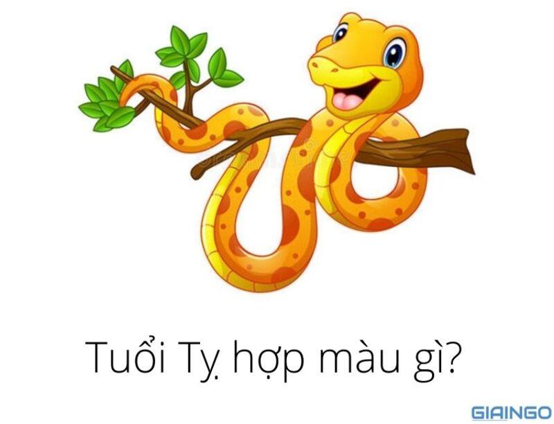 tuoi ty hop mau gi