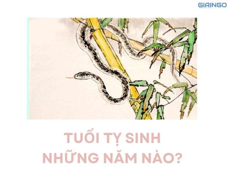 Tuổi Tỵ hợp với tuổi nào? Tử vi Tuổi Tỵ khoa học nhất