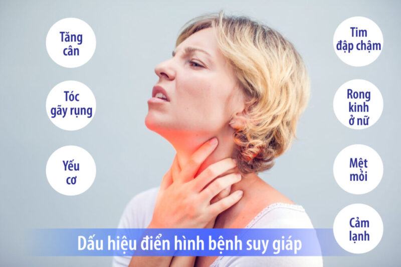 tuyến giáp nằm ở đâu