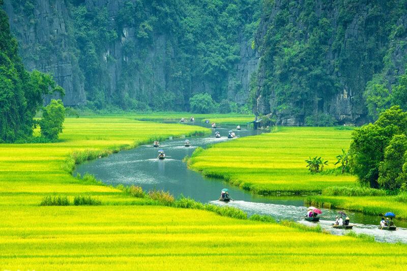 dieu kien thuan loi san xuat luong thuc