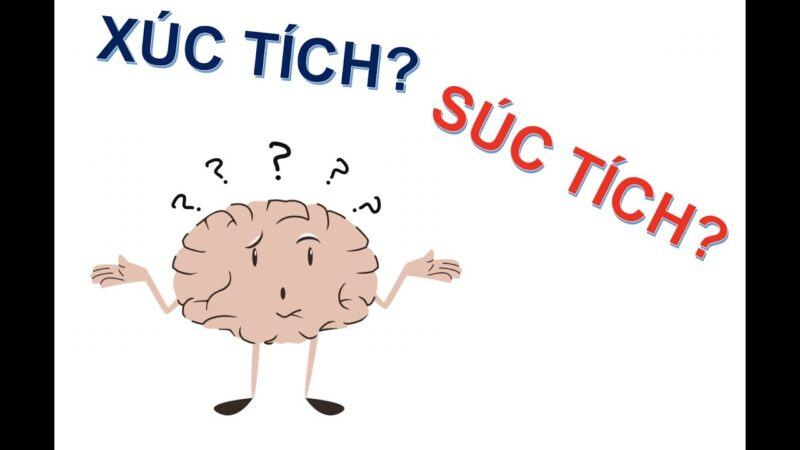 XÚC TÍCH hay SÚC TÍCH