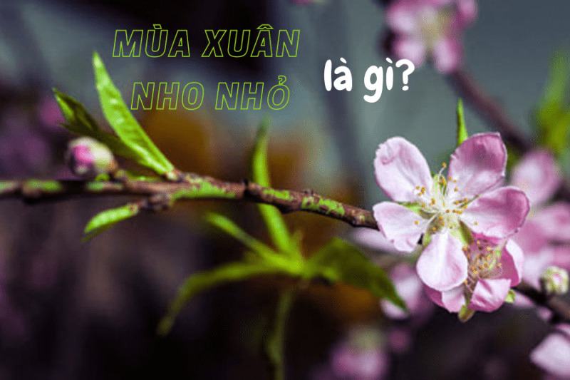 Ý nghĩa nhan đề Mùa xuân nho nhỏ của nhà thơ Thanh Hải?