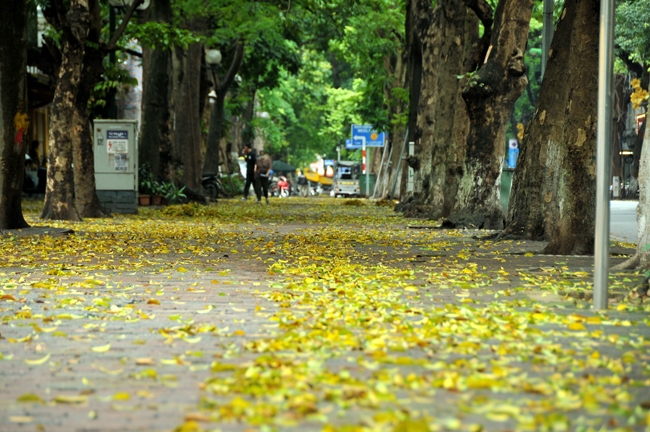 Ý nghĩa nhan đề Sang thu